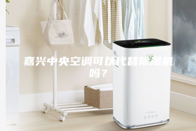 嘉興中央空調可以代替除濕機嗎？