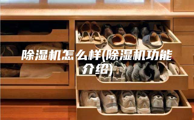 除濕機(jī)怎么樣(除濕機(jī)功能介紹)