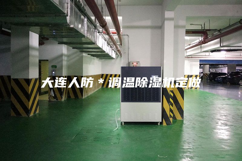 大連人防＊調(diào)溫除濕機定做