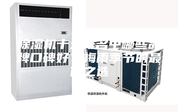 除濕機十大排名中哪些品牌口碑好?梅雨季節(jié)的最佳之選