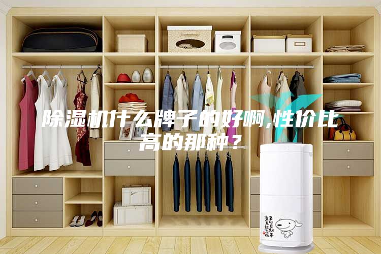 除濕機什么牌子的好啊,性價比高的那種？