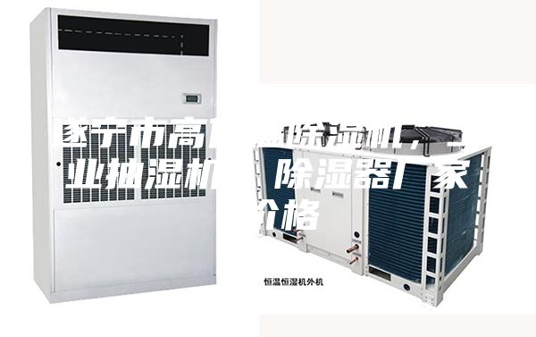 遂寧市高低溫除濕機，工業(yè)抽濕機  除濕器廠家 價格