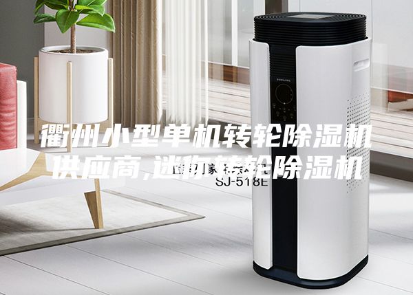 衢州小型單機轉輪除濕機供應商,迷你轉輪除濕機