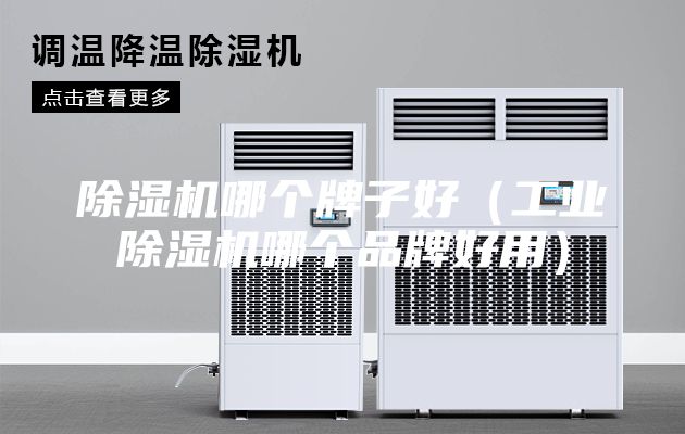 除濕機哪個牌子好（工業(yè)除濕機哪個品牌好用）