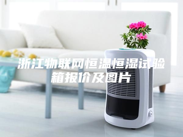 浙江物聯網恒溫恒濕試驗箱報價及圖片