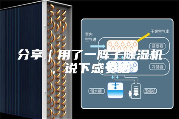 分享｜用了一陣子除濕機(jī)，說(shuō)下感受吧