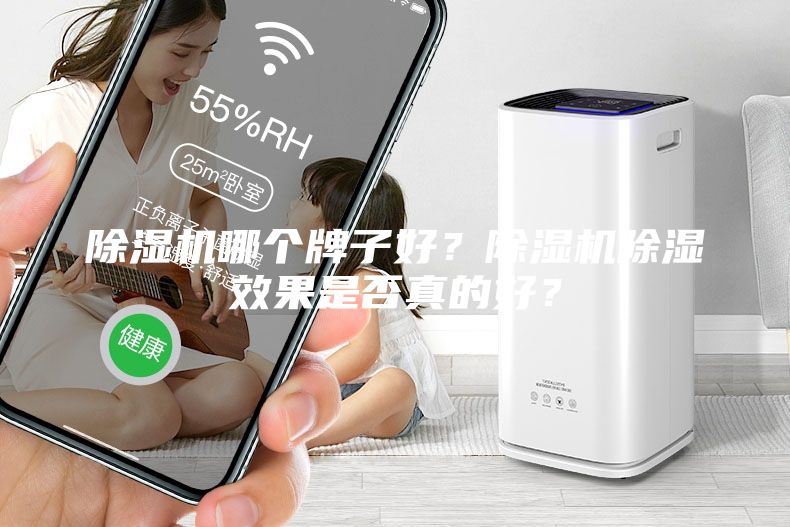 除濕機哪個牌子好？除濕機除濕效果是否真的好？