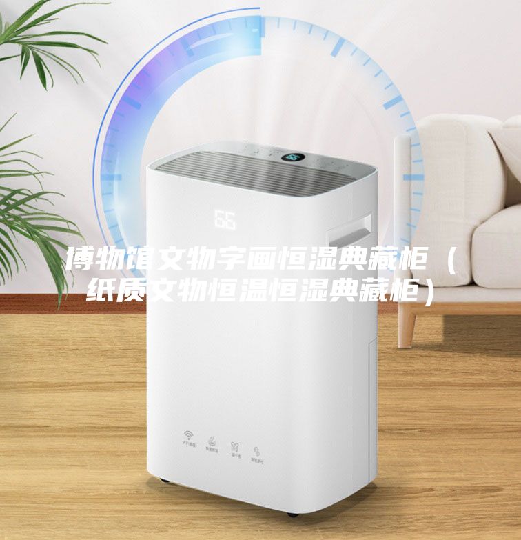 博物館文物字畫恒濕典藏柜（紙質(zhì)文物恒溫恒濕典藏柜）
