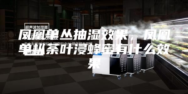 鳳凰單叢抽濕效果，鳳凰單樅荼葉浸蜂蜜有什么效果