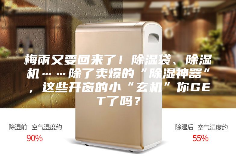 梅雨又要回來了！除濕袋、除濕機……除了賣爆的“除濕神器”，這些開窗的小“玄機”你GET了嗎？
