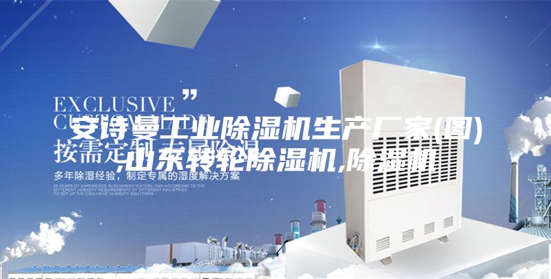 安詩曼工業(yè)除濕機生產(chǎn)廠家(圖),山東轉輪除濕機,除濕機