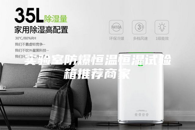 實(shí)驗(yàn)室防爆恒溫恒濕試驗(yàn)箱推薦商家