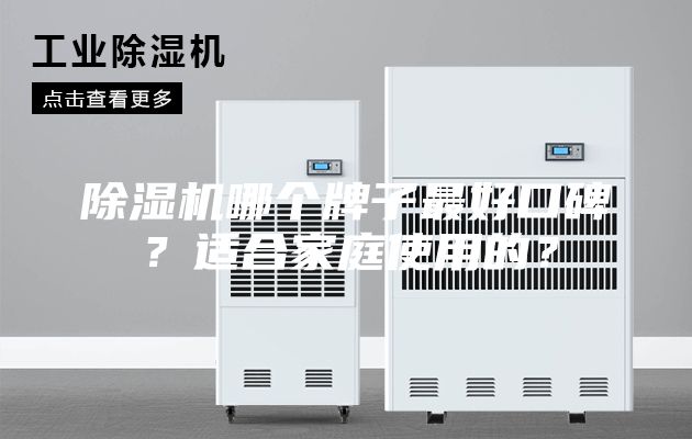 除濕機(jī)哪個牌子最好口碑？適合家庭使用的？