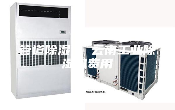 管道除濕機 云南工業(yè)除濕機費用