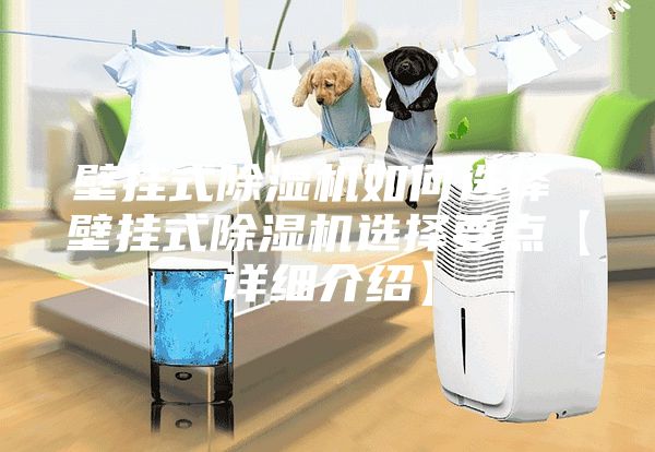 壁掛式除濕機如何選擇 壁掛式除濕機選擇要點【詳細介紹】