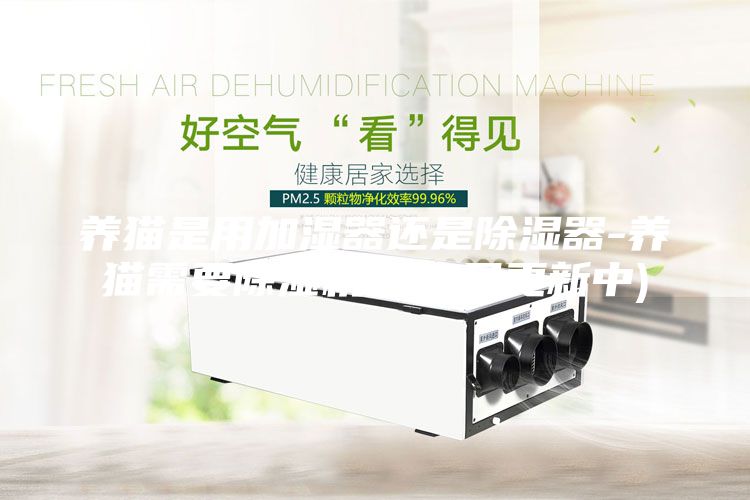 養貓是用加濕器還是除濕器-養貓需要除濕機嗎(6月更新中)