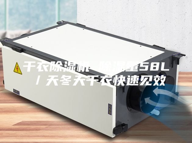 干衣除濕機(jī) 除濕量58L／天冬天干衣快速見(jiàn)效