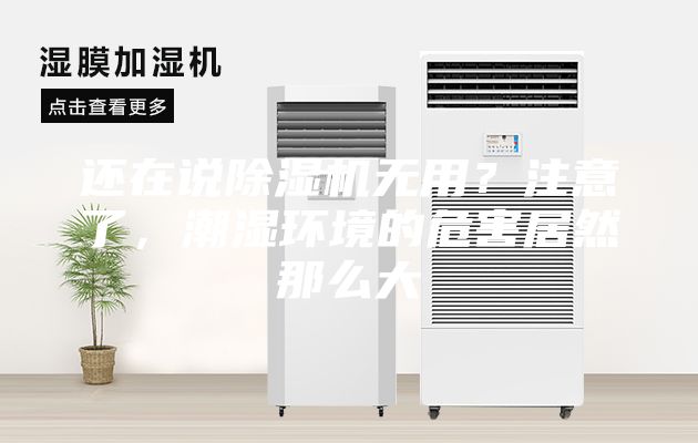 還在說除濕機無用?注意了,潮濕環境的危害居然那么大