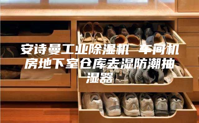 安詩曼工業除濕機 車間機房地下室倉庫去濕防潮抽濕器