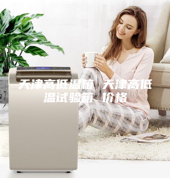 天津高低溫箱 天津高低溫試驗箱 價格