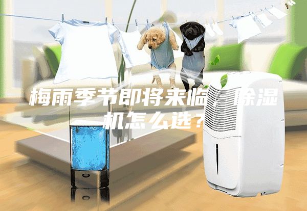 梅雨季節(jié)即將來臨，除濕機怎么選？