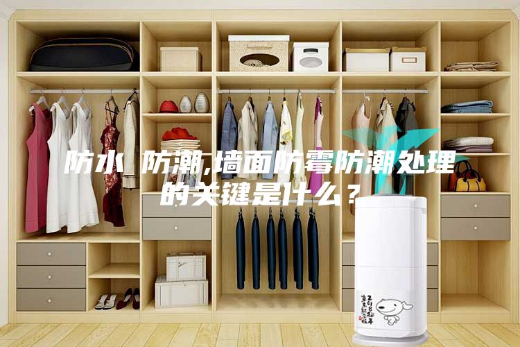 防水≠防潮,墻面防霉防潮處理的關鍵是什么？