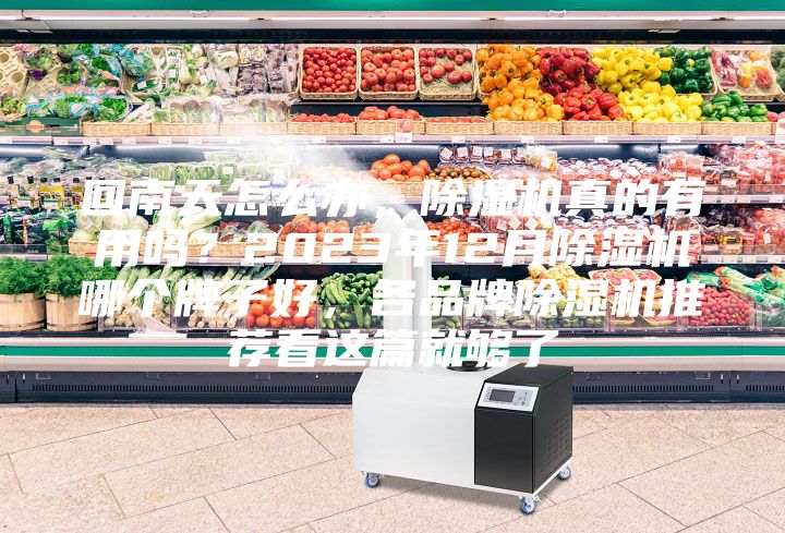 回南天怎么辦，除濕機真的有用嗎？2023年12月除濕機哪個牌子好，各品牌除濕機推薦看這篇就夠了