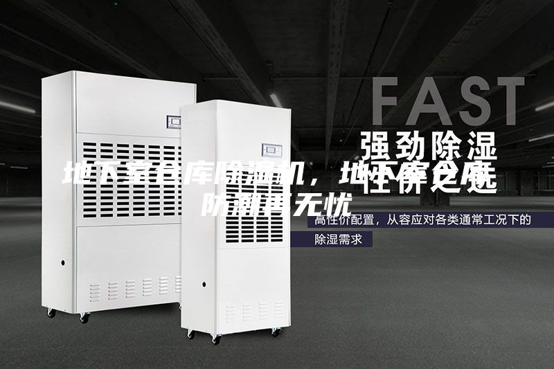 地下室倉(cāng)庫除濕機(jī),地下室倉(cāng)庫防潮再無憂