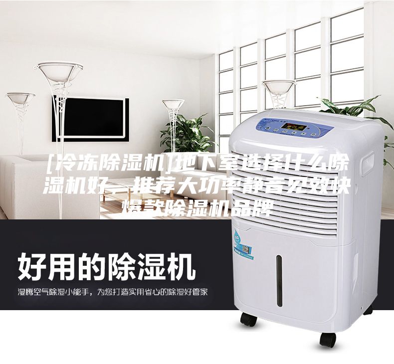 [冷凍除濕機]地下室選擇什么除濕機好，推薦大功率靜音見效快爆款除濕機品牌