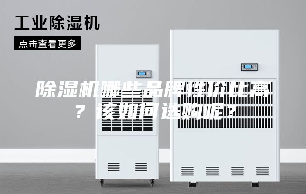 除濕機(jī)哪些品牌性?xún)r(jià)比高？該如何選購(gòu)呢？