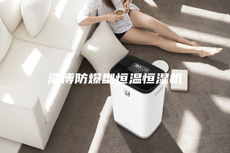 淄博防爆型恒溫恒濕機