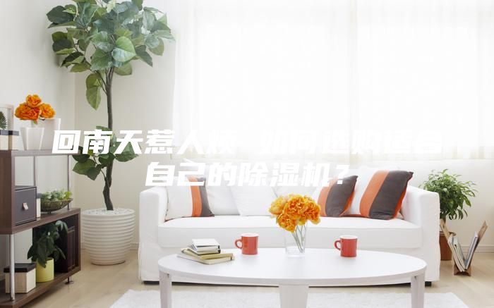 回南天惹人煩 如何選購適合自己的除濕機？