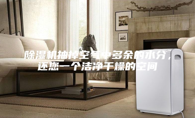 除濕機抽掉空氣中多余的水分，還您一個潔凈干燥的空間