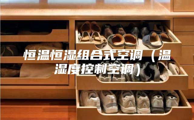 恒溫恒濕組合式空調（溫濕度控制空調）