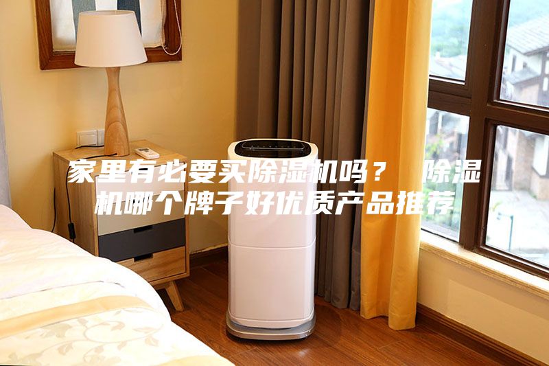 家里有必要買除濕機嗎？ 除濕機哪個牌子好優(yōu)質(zhì)產(chǎn)品推薦