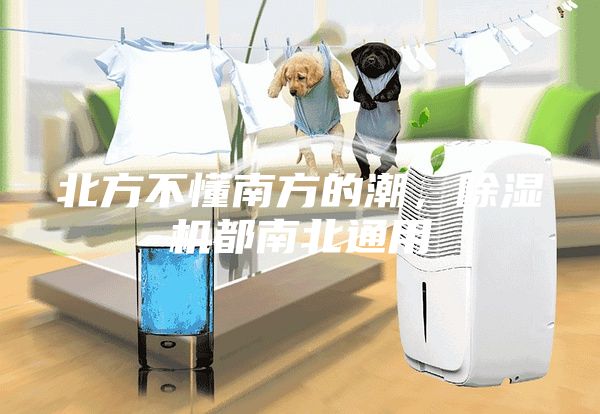 北方不懂南方的潮，除濕機都南北通用