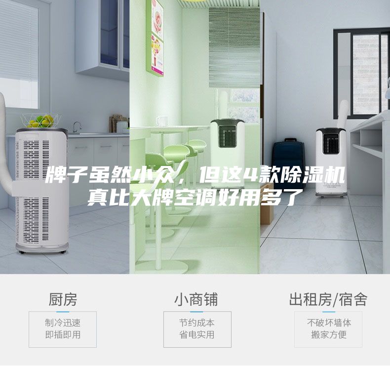 牌子雖然小眾,但這4款除濕機真比大牌空調好用多了