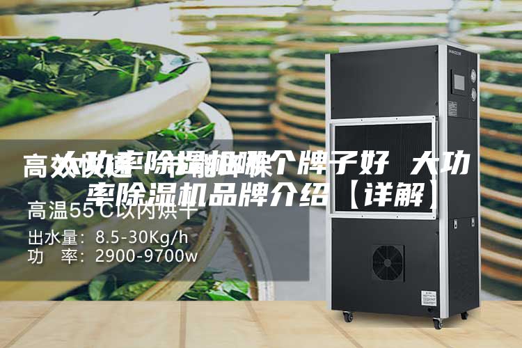 大功率除濕機哪個牌子好 大功率除濕機品牌介紹【詳解】