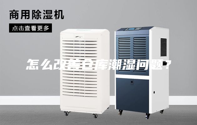 怎么改善倉庫潮濕問題？