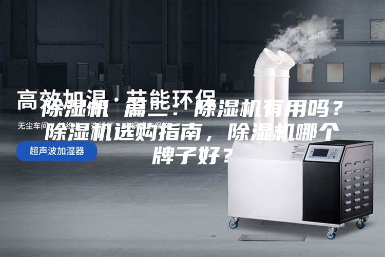 除濕機 篇二：除濕機有用嗎？除濕機選購指南，除濕機哪個牌子好？