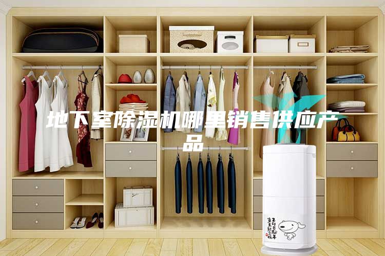 地下室除濕機(jī)哪里銷售供應(yīng)產(chǎn)品
