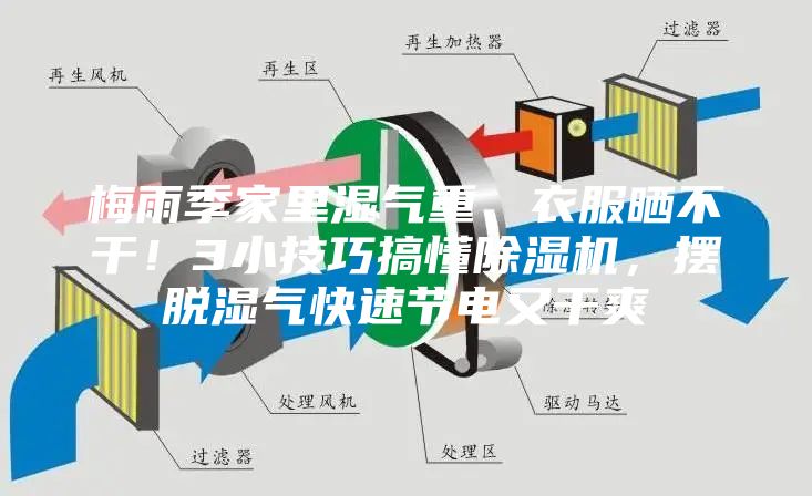 梅雨季家里濕氣重、衣服曬不干！3小技巧搞懂除濕機，擺脫濕氣快速節電又干爽