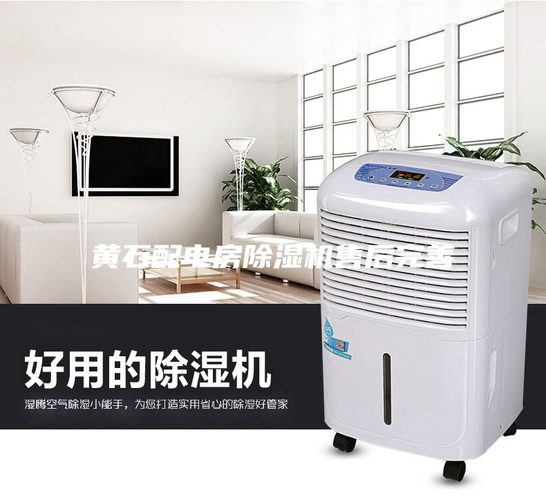 黃石配電房除濕機售后完善