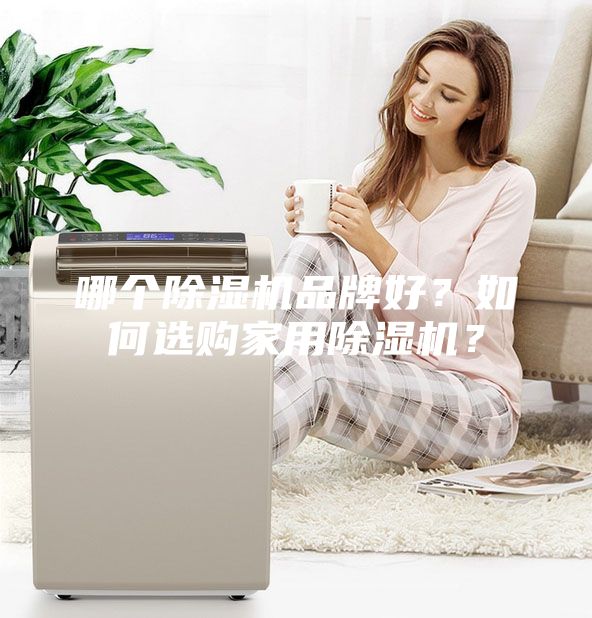 哪個除濕機品牌好？如何選購家用除濕機？