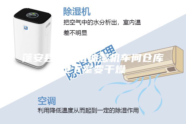蓬安縣工業(yè)用抽濕機(jī)車間倉(cāng)庫(kù)地下室變干燥