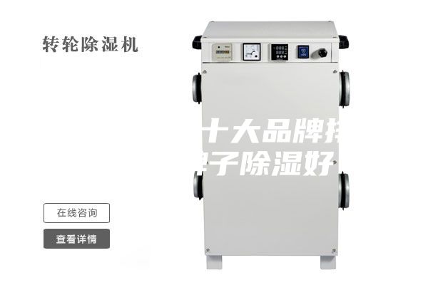 家用除濕機十大品牌排名 什么牌子除濕好