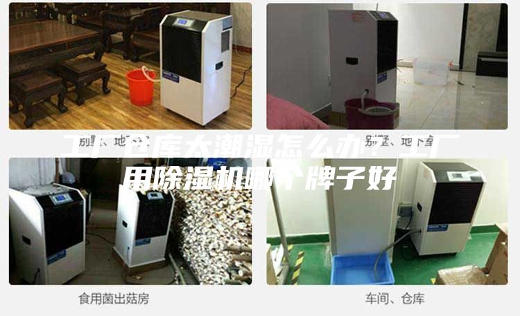 工廠倉庫太潮濕怎么辦？工廠用除濕機哪個牌子好