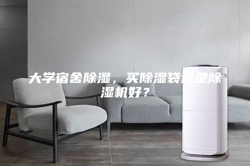 大學(xué)宿舍除濕，買除濕袋還是除濕機好？