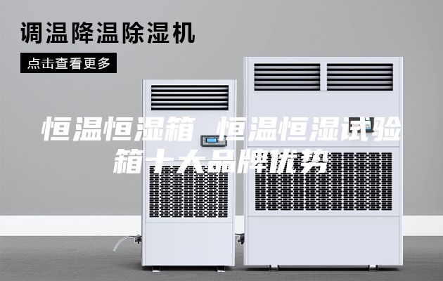 恒溫恒濕箱 恒溫恒濕試驗箱十大品牌優勢