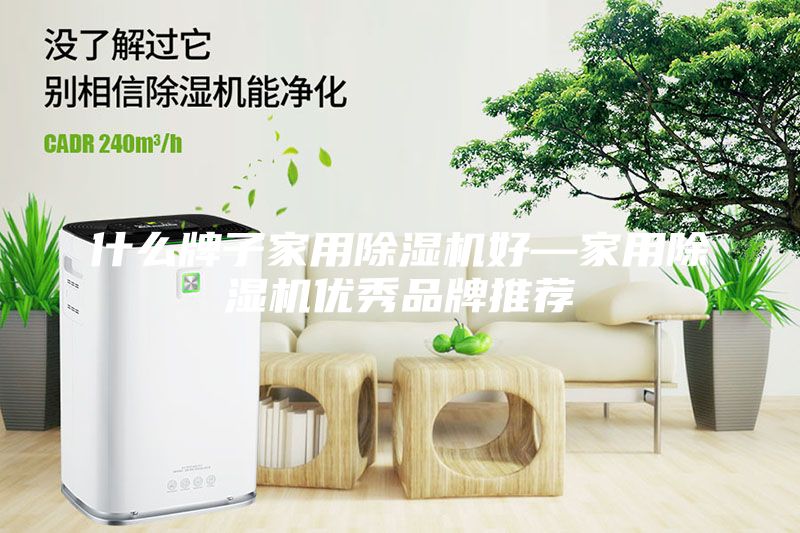 什么牌子家用除濕機好—家用除濕機優(yōu)秀品牌推薦